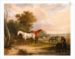 Horses Grazing: a Grey Stallion Grazing with Mares in a Meadow by Calcraft Turner