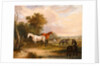 Horses Grazing: a Grey Stallion Grazing with Mares in a Meadow by Calcraft Turner