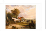 Horses Grazing: a Grey Stallion Grazing with Mares in a Meadow by Calcraft Turner