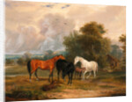 Horses Grazing: Mares and Foals in a Field by Calcraft Turner