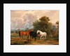 Horses Grazing: Mares and Foals in a Field by Calcraft Turner