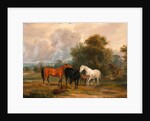 Horses Grazing: Mares and Foals in a Field by Calcraft Turner