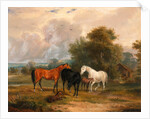 Horses Grazing: Mares and Foals in a Field by Calcraft Turner