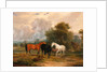 Horses Grazing: Mares and Foals in a Field by Calcraft Turner