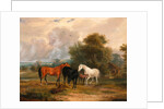 Horses Grazing: Mares and Foals in a Field by Calcraft Turner