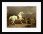 Grey Shooting Pony, Probably the Property of Johnston King by Thomas Woodward