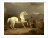 Grey Shooting Pony, Probably the Property of Johnston King by Thomas Woodward