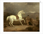 Grey Shooting Pony, Probably the Property of Johnston King by Thomas Woodward