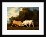 Bulls Fighting by George Stubbs