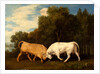 Bulls Fighting by George Stubbs