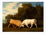 Bulls Fighting by George Stubbs