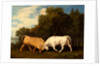 Bulls Fighting by George Stubbs