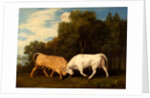 Bulls Fighting by George Stubbs