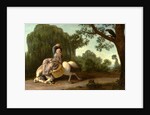 The Farmer's Wife and the Raven by George Stubbs