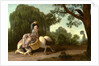 The Farmer's Wife and the Raven by George Stubbs