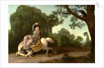 The Farmer's Wife and the Raven by George Stubbs