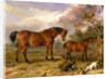 Portrait of Reformer, Blucher, Tory and Crib by James Ward