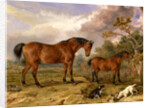Portrait of Reformer, Blucher, Tory and Crib by James Ward