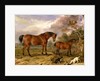 Portrait of Reformer, Blucher, Tory and Crib by James Ward
