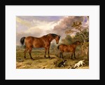 Portrait of Reformer, Blucher, Tory and Crib by James Ward