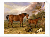 Portrait of Reformer, Blucher, Tory and Crib by James Ward