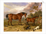 Portrait of Reformer, Blucher, Tory and Crib by James Ward