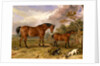 Portrait of Reformer, Blucher, Tory and Crib by James Ward
