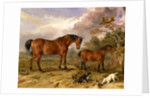 Portrait of Reformer, Blucher, Tory and Crib by James Ward