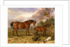 Portrait of Reformer, Blucher, Tory and Crib by James Ward
