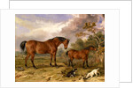 Portrait of Reformer, Blucher, Tory and Crib by James Ward