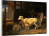 Heath Ewe and Lambs by James Ward