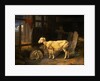 Heath Ewe and Lambs by James Ward