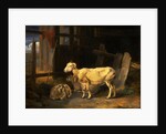 Heath Ewe and Lambs by James Ward