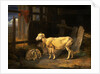Heath Ewe and Lambs by James Ward