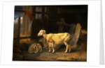 Heath Ewe and Lambs by James Ward