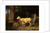 Heath Ewe and Lambs by James Ward