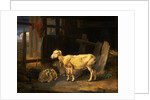 Heath Ewe and Lambs by James Ward
