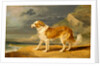 Rough-Coated Collie by James Ward