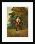 Henry Addington, Later 1st Viscount Sidmouth by Francis Wheatley
