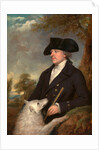 Captain Stevens by Francis Wheatley