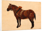 Study of a Working Horse by Thomas Sidney Cooper