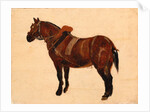 Study of a Working Horse by Thomas Sidney Cooper