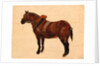 Study of a Working Horse by Thomas Sidney Cooper