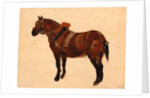 Study of a Working Horse by Thomas Sidney Cooper