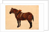Study of a Working Horse by Thomas Sidney Cooper