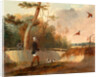 Pheasant Shooting, Samuel John Egbert Jones by Egbert Jones