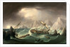 Shipwreck off a Rocky Coast by Thomas Buttersworth