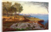 Corfu from Ascension by Edward Lear