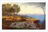 Corfu from Ascension by Edward Lear