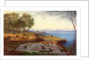 Corfu from Ascension by Edward Lear